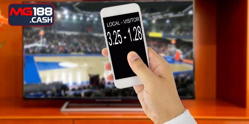 Giới thiệu về siêu phẩm cá cược bóng rổ