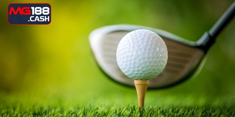 Cá cược golf tại sao ngày càng được nhiều người yêu thích?
