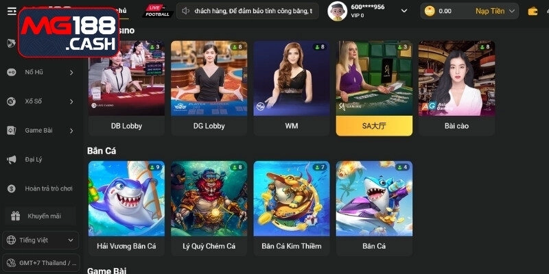 Nhà cái MG188 và sơ lược thông tin