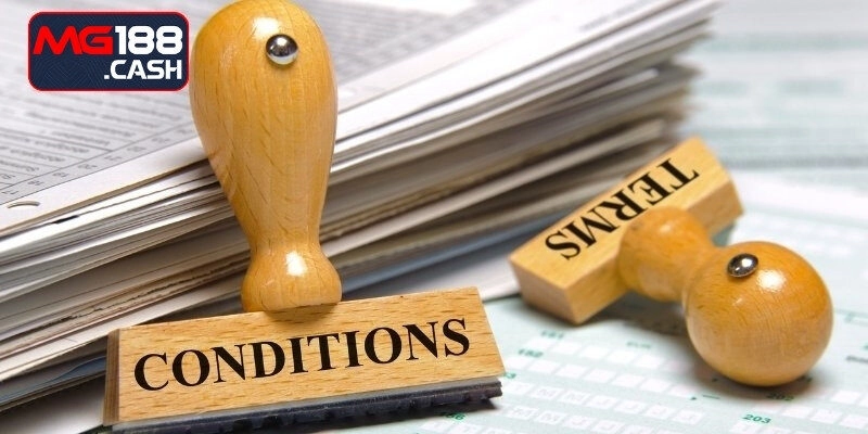 Tổng quan về chính sách điều kiện điều khoản MG188