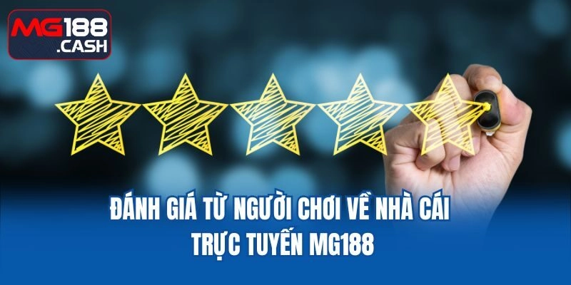 Đánh giá từ người chơi về nhà cái trực tuyến MG188